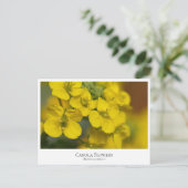 Canola Flowers Briefkaart (Staand voorkant)
