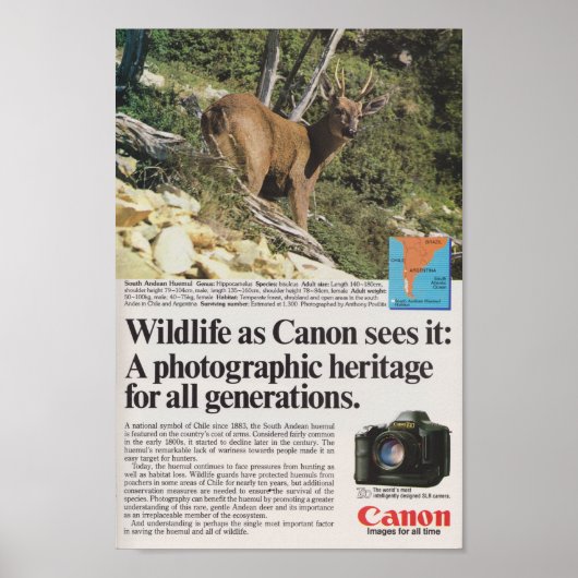 Canon camera reclamerefilm 1980s antiek poster (Voorkant)