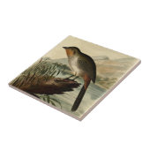 Canon Finch Tegeltje (Zijkant)