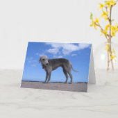 canon ixus 057 kaart (Gele Bloem)