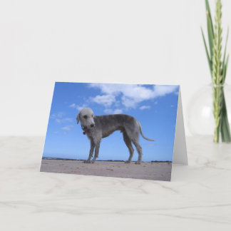 canon ixus 057 kaart