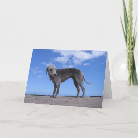 canon ixus 057 kaart (Voorkant)