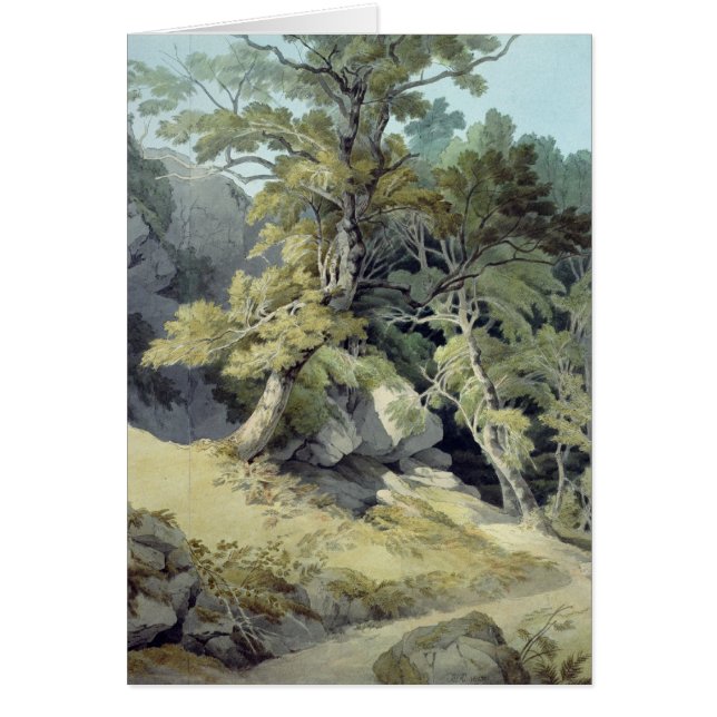 Canonteign, Devon (Voorkant)