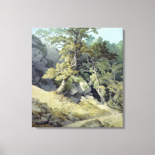 Canonteign, Devon Canvas Afdruk