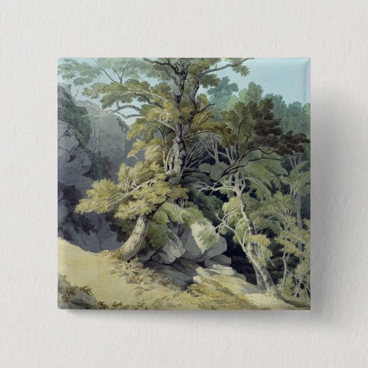 Canonteign, Devon Vierkante Button 5,1 Cm (Voorkant)