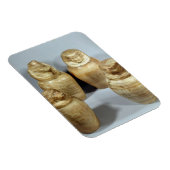 Canopische potten van Hor-ir-aa, saite (broodroost Magneet (Rechterzijde)