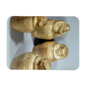 Canopische potten van Hor-ir-aa, saite (broodroost Magneet (Horizontaal)