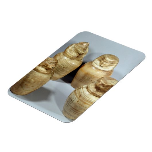 Canopische potten van Hor-ir-aa, saite (broodroost Magneet (Linkerzijde)