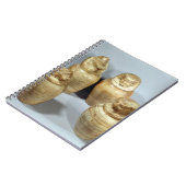 Canopische potten van Hor-ir-aa, saite (broodroost Notitieboek (Linkerzijde)