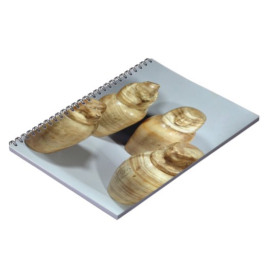 Canopische potten van Hor-ir-aa, saite (broodroost Notitieboek (Linkerzijde)