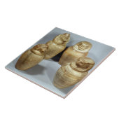 Canopische potten van Hor-ir-aa, saite (broodroost Tegeltje (Zijkant)