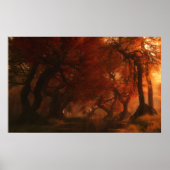 Canopy Creek (herfst) Poster (Voorkant)