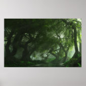 Canopy Creek Poster (Voorkant)