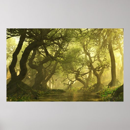 Canopy Creek Spring Poster (Voorkant)