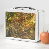 Canopy of Fall Leaves II Yellow Autumn Photography (In situ)