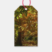 Canopy of Fall Leaves II Yellow Autumn Photography Cadeaulabel (Voorkant)