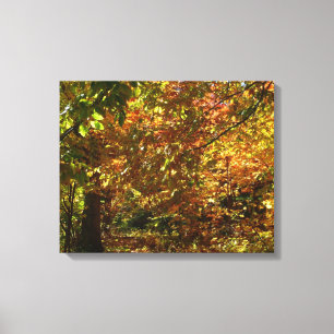 Canopy of Fall Leaves II Yellow Autumn Photography Canvas Afdruk