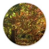 Canopy of Fall Leaves II Yellow Autumn Photography Keramische Knop (Voorkant)