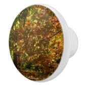 Canopy of Fall Leaves II Yellow Autumn Photography Keramische Knop (Rechts)