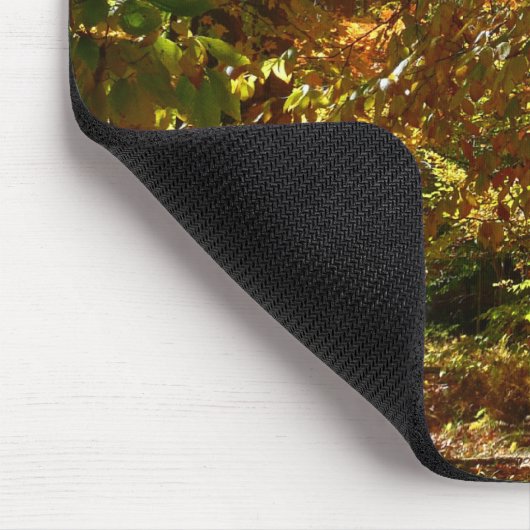 Canopy of Fall Leaves II Yellow Autumn Photography Muismat (Hoek)