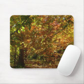 Canopy of Fall Leaves II Yellow Autumn Photography Muismat (Met muis)