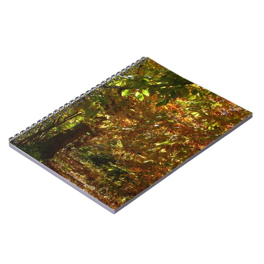 Canopy of Fall Leaves II Yellow Autumn Photography Notitieboek (Linkerzijde)