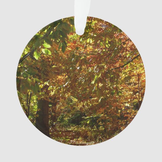 Canopy of Fall Leaves II Yellow Autumn Photography Ornament (voorkant)