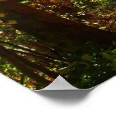 Canopy of Fall Leaves II Yellow Autumn Photography Poster (Hoek)