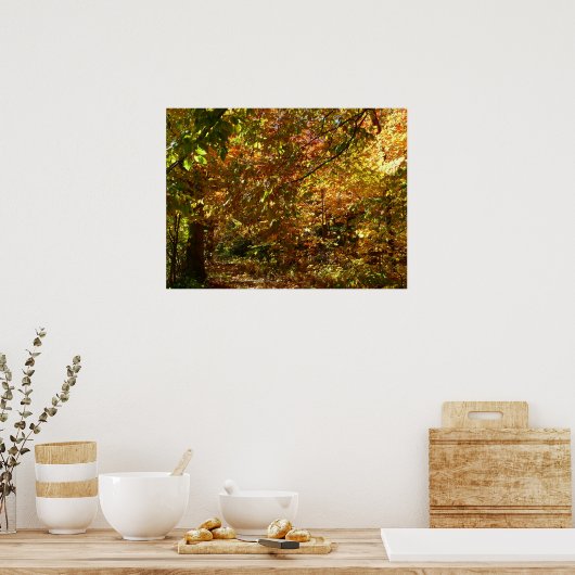 Canopy of Fall Leaves II Yellow Autumn Photography Poster (Keuken)