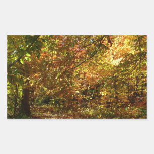 Canopy of Fall Leaves II Yellow Autumn Photography Rechthoekige Sticker
