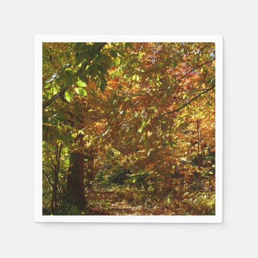 Canopy of Fall Leaves II Yellow Autumn Photography Servetten (Voorkant)