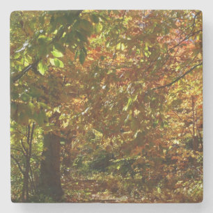 Canopy of Fall Leaves II Yellow Autumn Photography Stenen Onderzetter