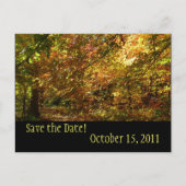 Canopy of Fall Leaves Save the Date Briefkaart (Voorkant)