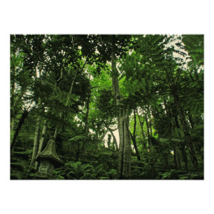 Canopy of Lushness @ Madeira Portugal Foto Afdruk
