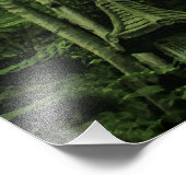 Canopy of Lushness @ Madeira Portugal Foto Afdruk (Hoek)