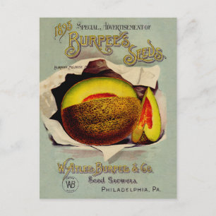 Cantaloupe Seed Adverteren Antiek Briefkaart