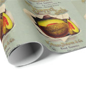 Cantaloupe Seed Adverteren Antiek Cadeaupapier (Rol Hoek)