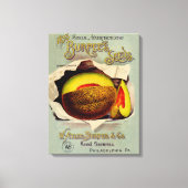 Cantaloupe Seed Adverteren Antiek Canvas Afdruk (Voorkant)
