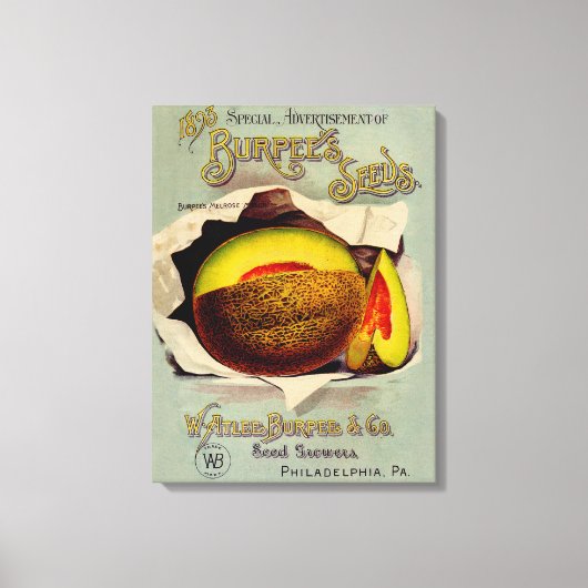 Cantaloupe Seed Adverteren Antiek Canvas Afdruk (Voorkant)