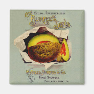 Cantaloupe Seed Adverteren Antiek Magneet
