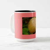 Cantaloupe Tweekleurige Koffiemok (Voorkant links)