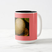 Cantaloupe Tweekleurige Koffiemok (Voorkant rechts)