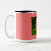 Cantaloupe Tweekleurige Koffiemok (Links)