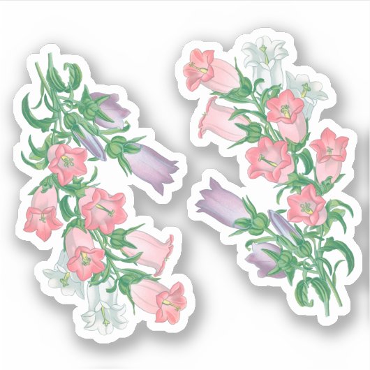 Canterbury Bells for St. Thomas Becket (fL) - Sticker (Voorkant)