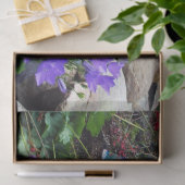 Canterbury Bells Tissuepapier (Geschenk)