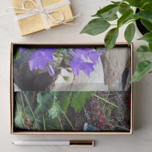 Canterbury Bells Tissuepapier (Geschenk)