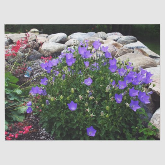 Canterbury Bells Tissuepapier (Voorkant)