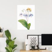 "Canterbury door Pierre-Joseph Redouté Poster (Thuiskantoor)