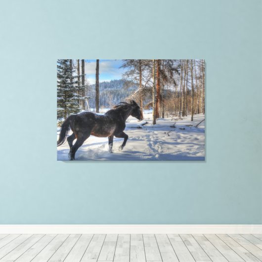 Cantering Black Percheron Horse & Snow Photo 2 Canvas Afdruk (Insitu (Houten vloer))