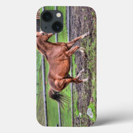 Cantering Chestnut Stallion Horse lover Equine Case-Mate iPhone Case (Achterkant)
